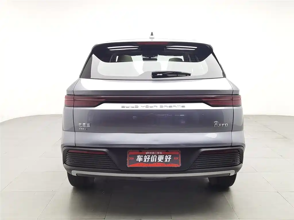 BYD Pro New Energy 2024