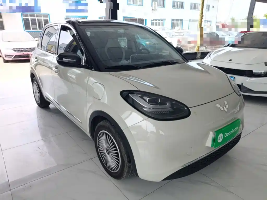 Wuling Bingo 2024