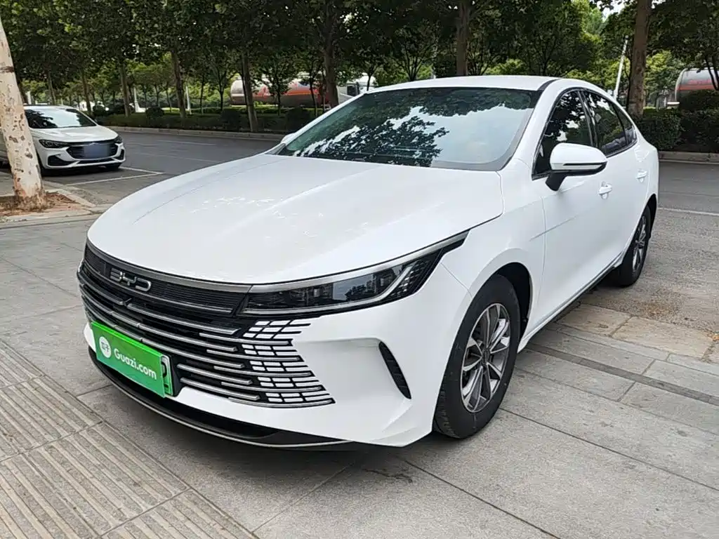 BYD Destroyer 05 2024 — фото 1