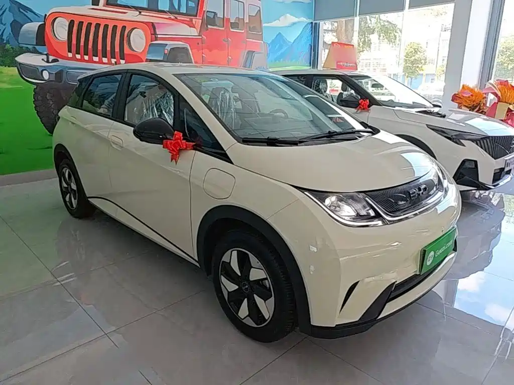 BYD Dolphin 2026