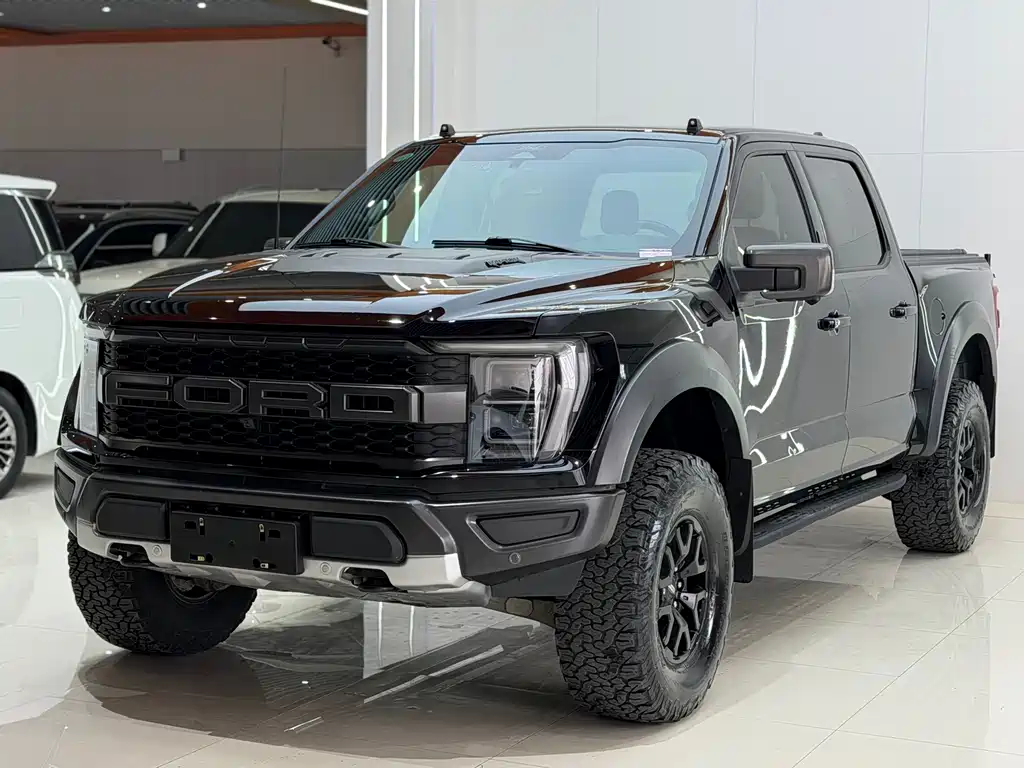 Ford F-150 Raptor 2024 — фото 2