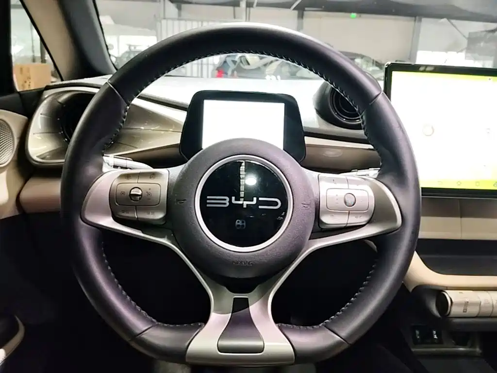 BYD Dolphin 2023 — фото 11