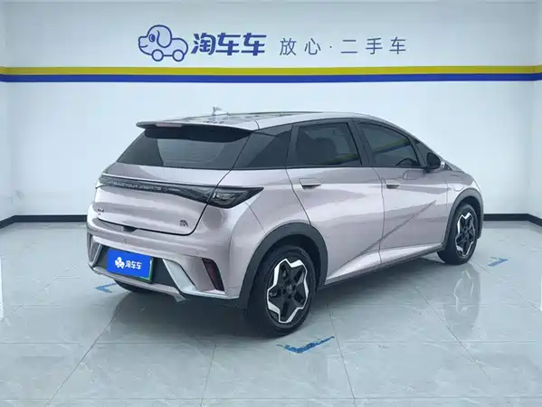 BYD Dolphin 2021