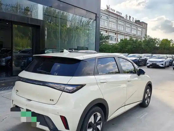 BYD Dolphin 2024