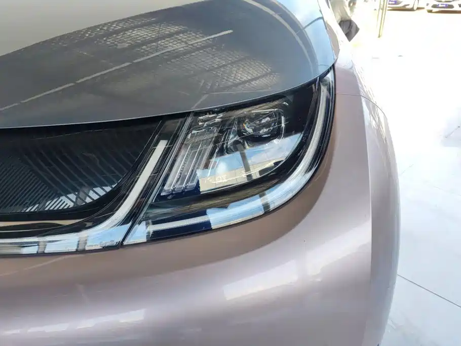 BYD Dolphin 2022