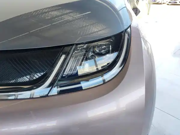 BYD Dolphin 2022