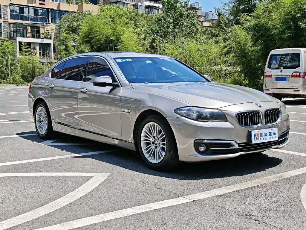 BMW 5 Series 2015