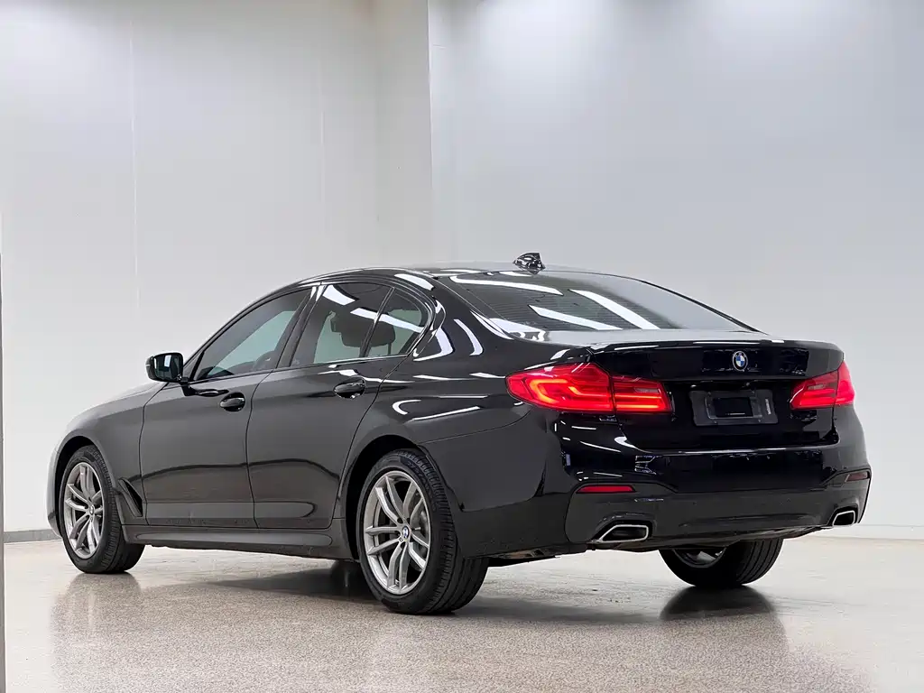 BMW 5 Series 2020 — фото 29