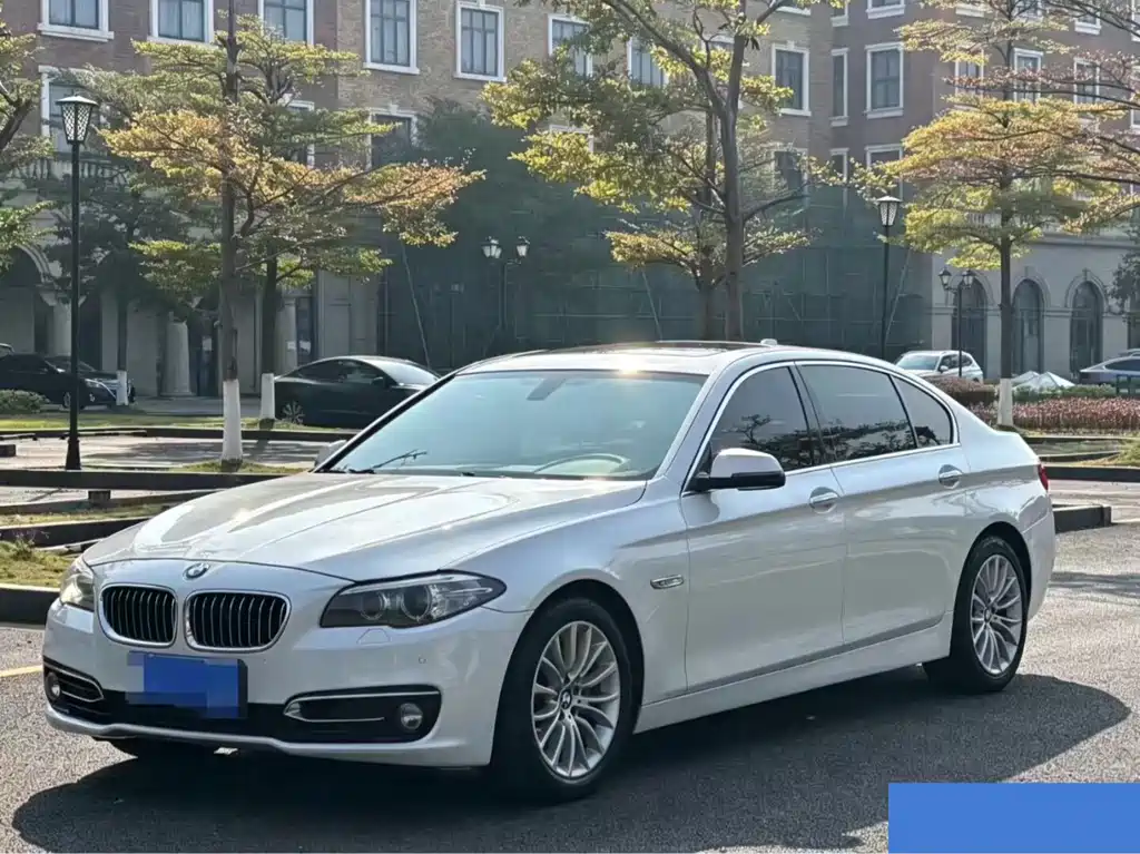 BMW 5 Series 2014 — фото 1
