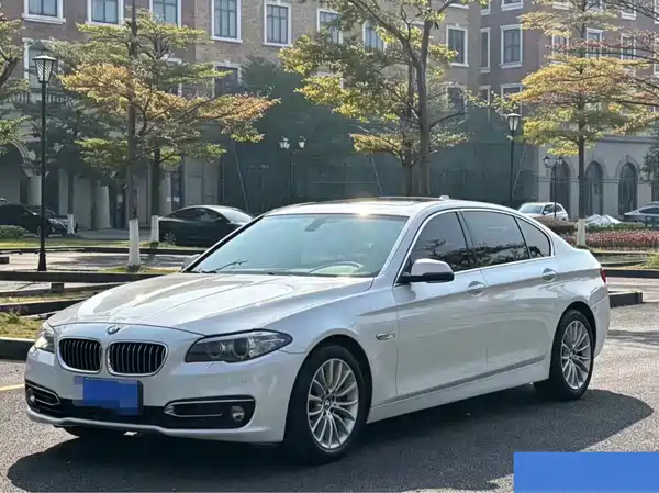 BMW 5 Series 2014