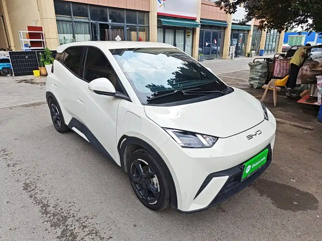 BYD Seagull 2024