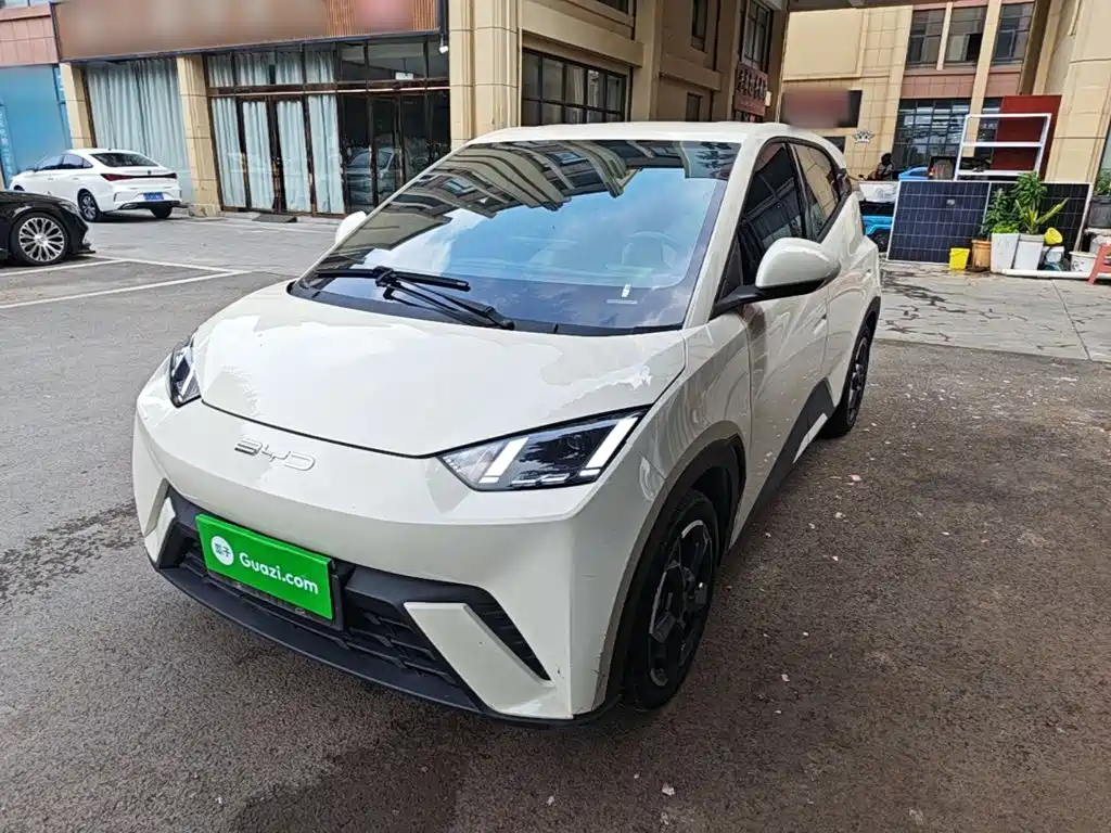 BYD Seagull 2024