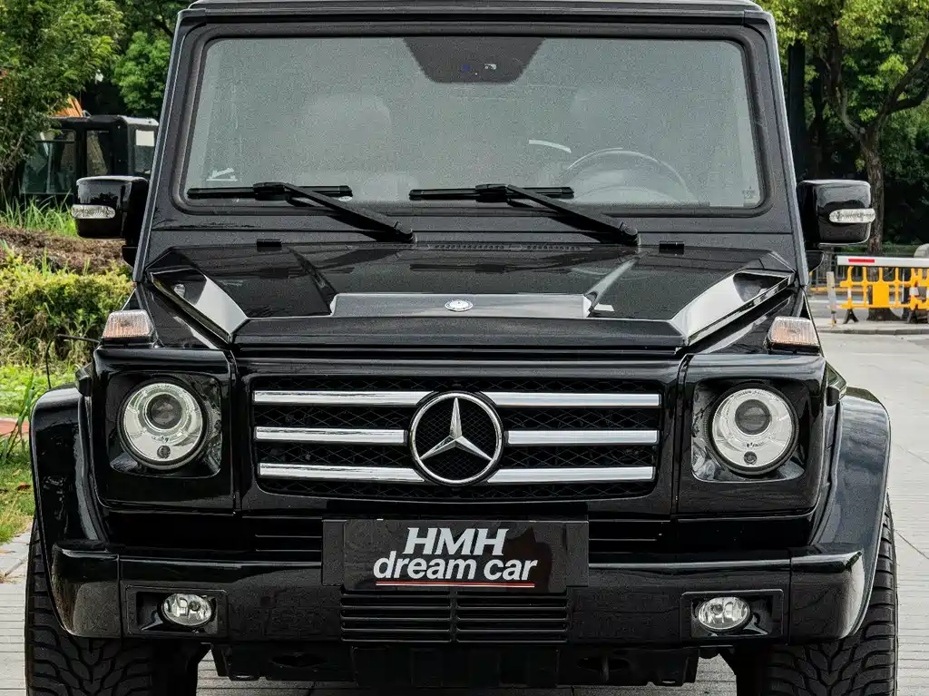 Mercedes-Benz G-Class AMG 2009 — фото 2