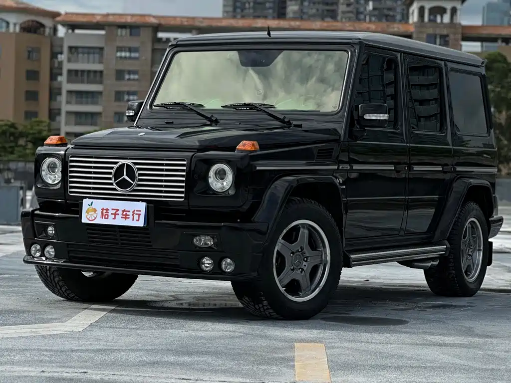 Mercedes-Benz G-Class 2007 — фото 15