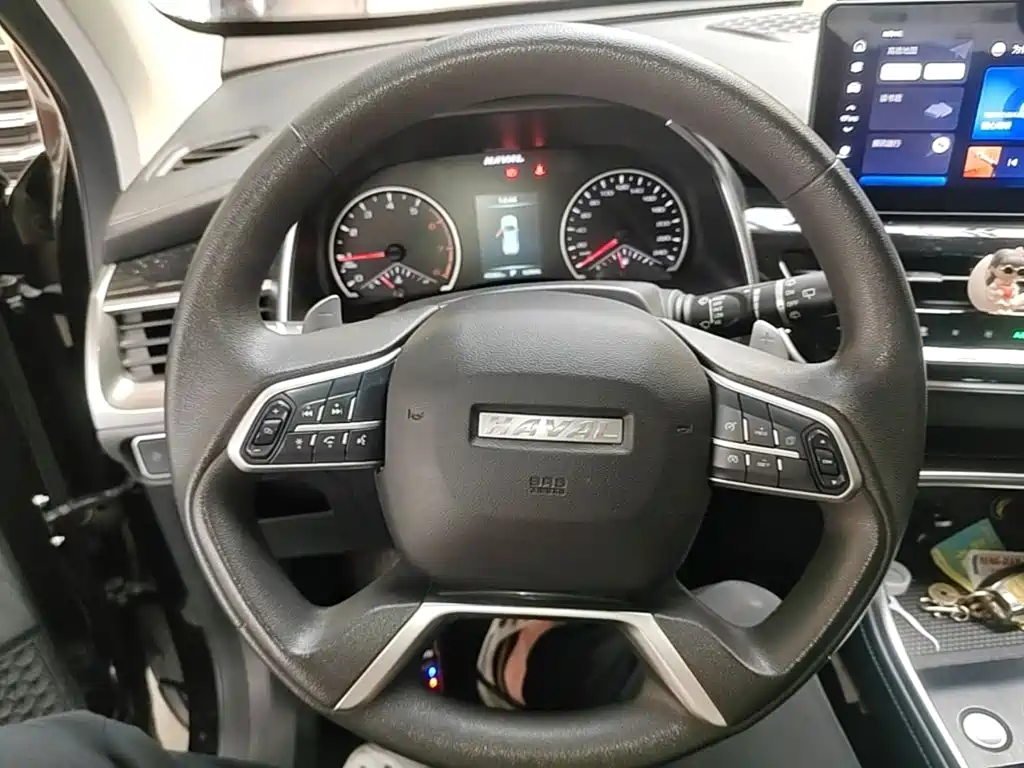 Haval H6 2021 — фото 11
