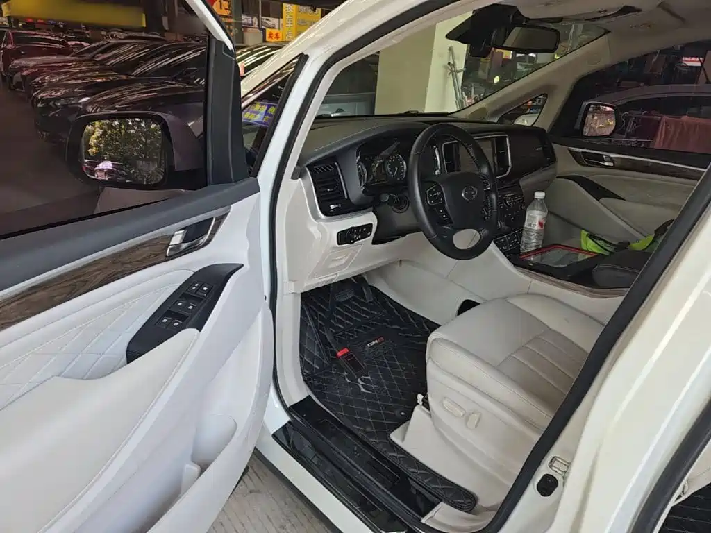 GAC Trumpchi M8 2019 — фото 16