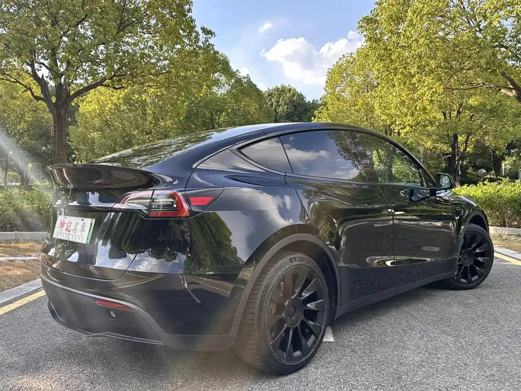 Tesla Model Y 2021 — фото 4