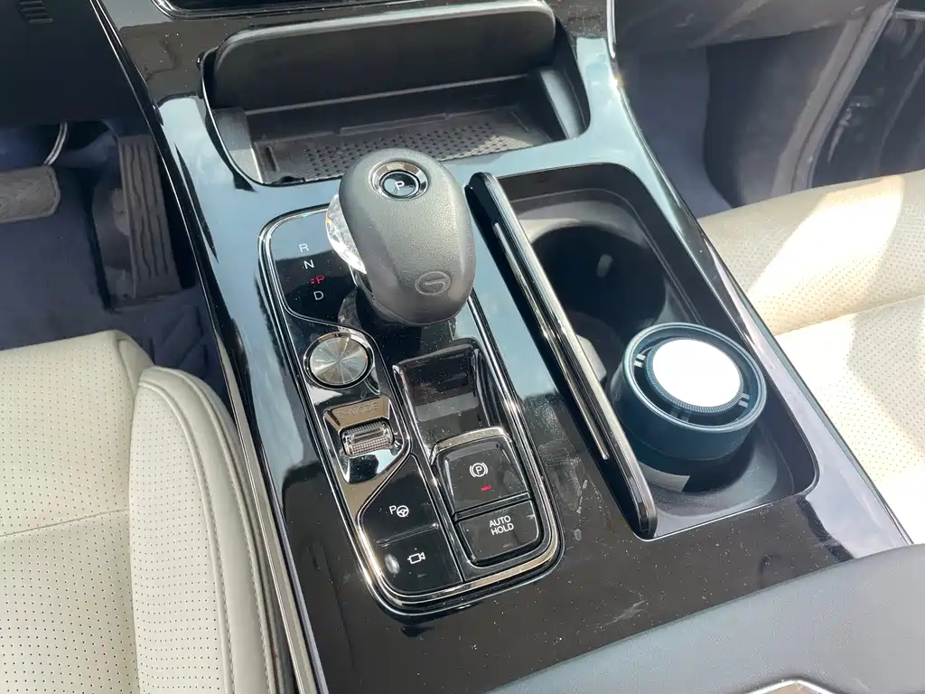 GAC Motor Trumpchi E9 2023 — фото 16