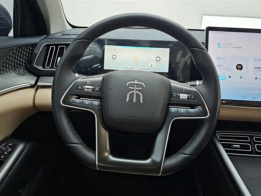 BYD Pro New Energy 2024 — фото 15