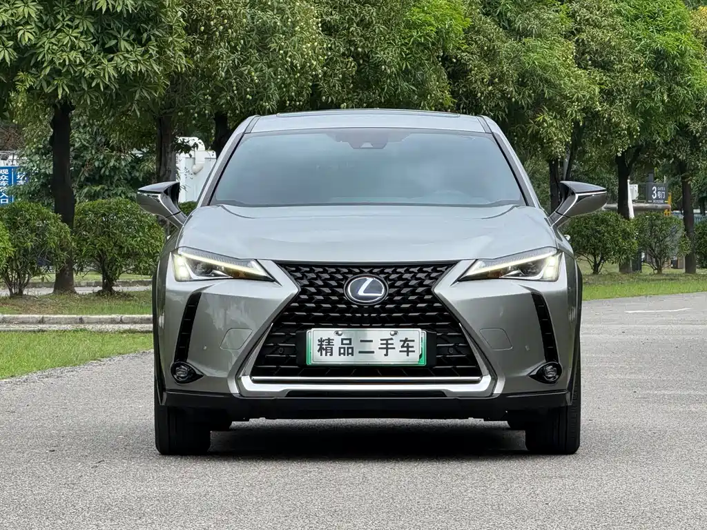 Lexus UX New Energy 2020 — фото 2