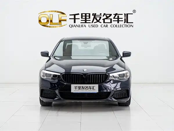 BMW 5 Series 2019