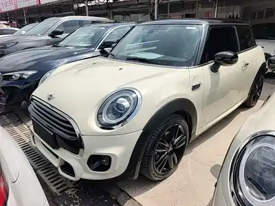 MINI MINI 2021