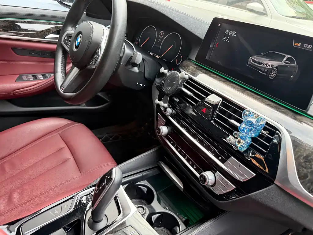 BMW 5 Series 2019 — фото 16
