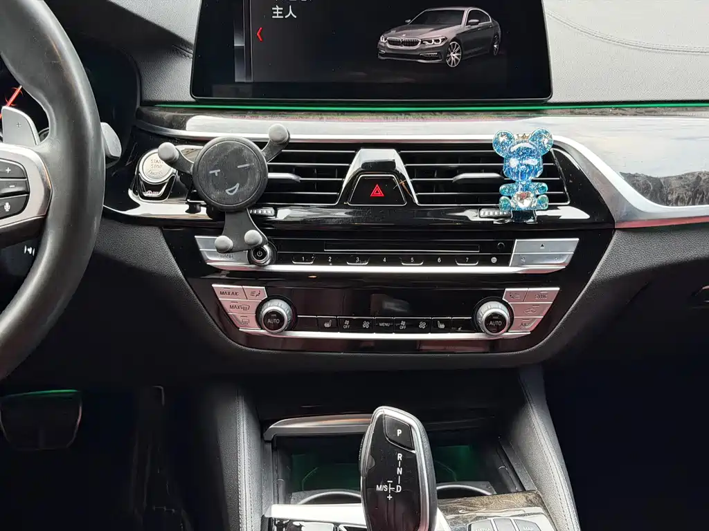 BMW 5 Series 2019 — фото 11