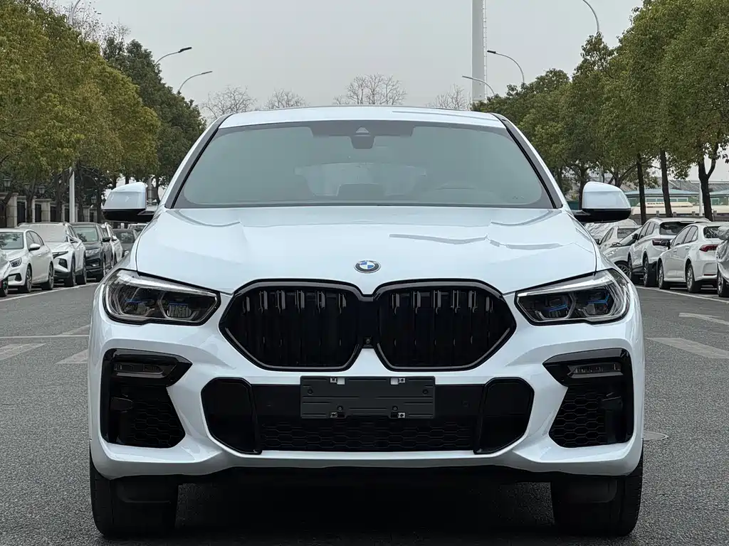 BMW X6 2021 — фото 2