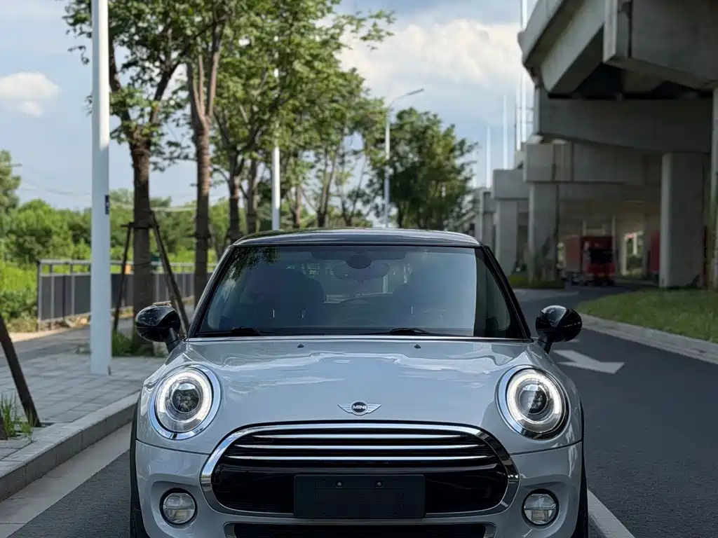 MINI MINI 2017