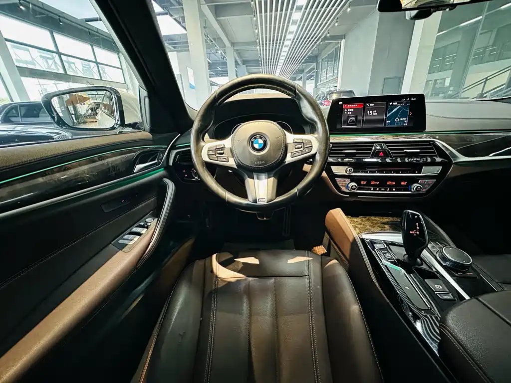 BMW 5 Series 2019 — фото 6