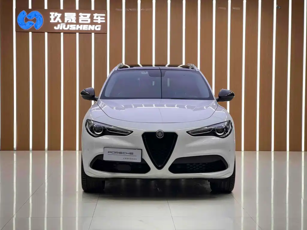 Alfa Romeo Stelvio 2019 — фото 2
