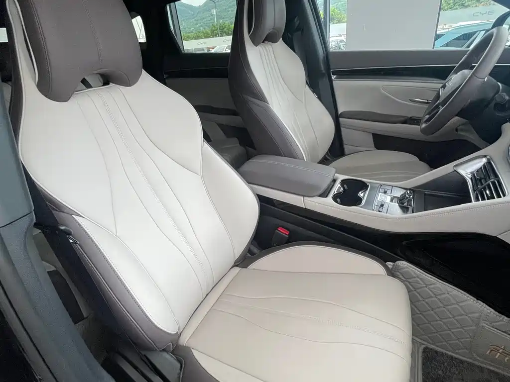 BYD PLUS New Energy 2025 — фото 18