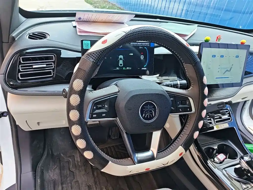 BYD Qin PLUS 2024 — фото 11