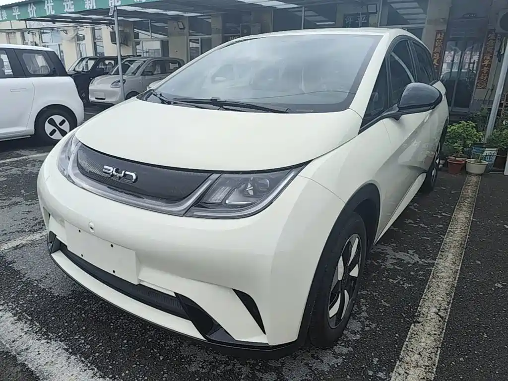 BYD Dolphin 2026