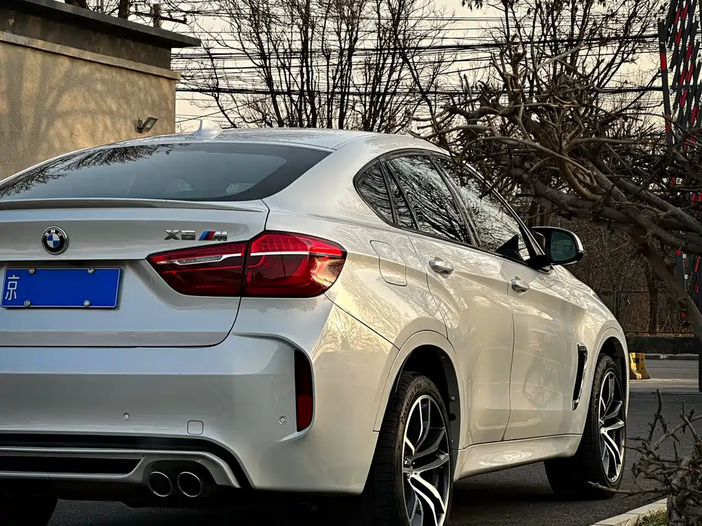 BMW X6 M 2017 — фото 11