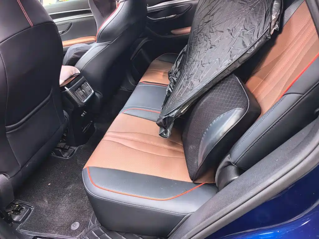 BYD Song PLUS New Energy 2022 — фото 15