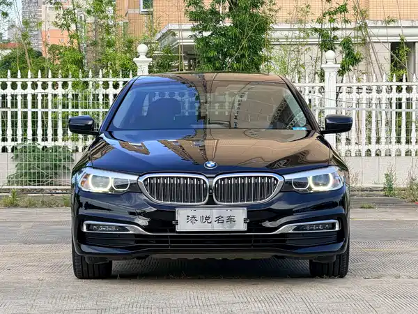 BMW 5 Series 2019