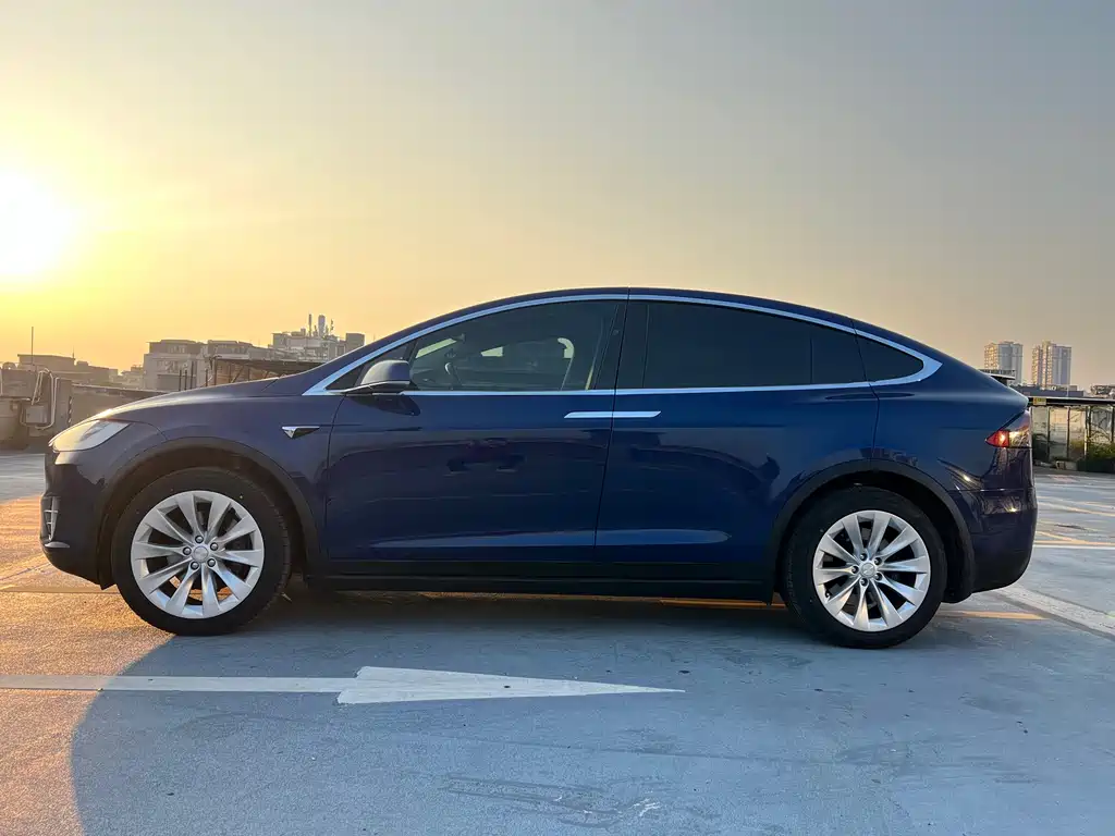 Tesla Model X 2017 — фото 8