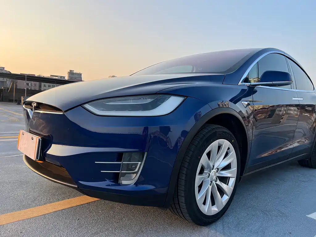 Tesla Model X 2017 — фото 19