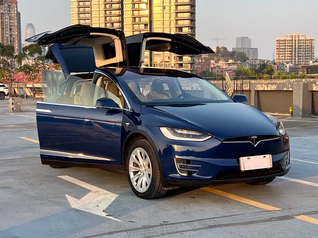 Tesla Model X 2017 — фото 22