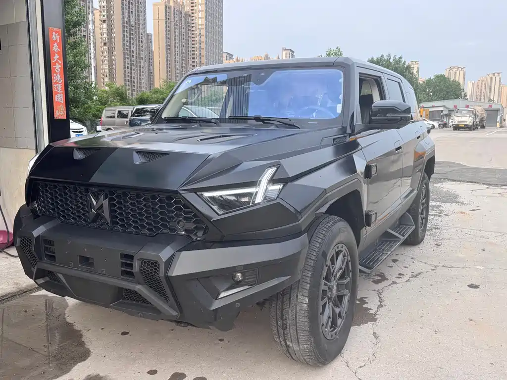 Mengshi 917 2024
