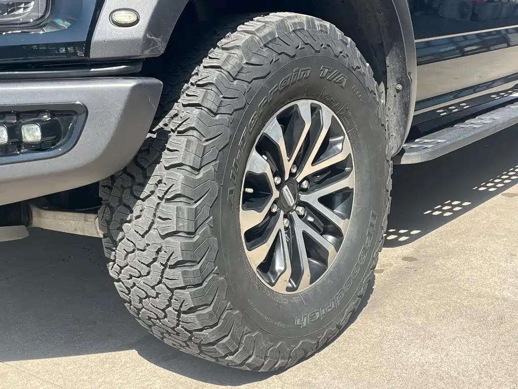 Ford F-150 Raptor 2019 — фото 18