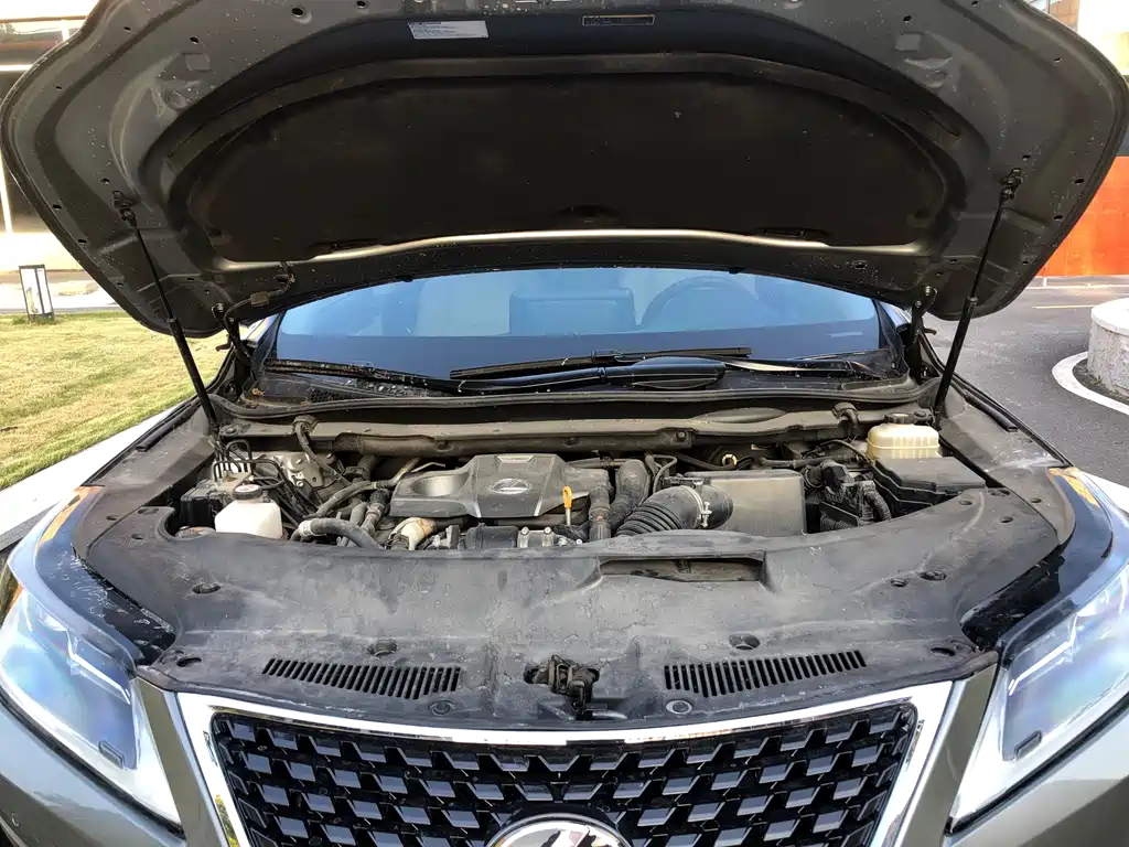 Lexus RX 2020 — фото 10