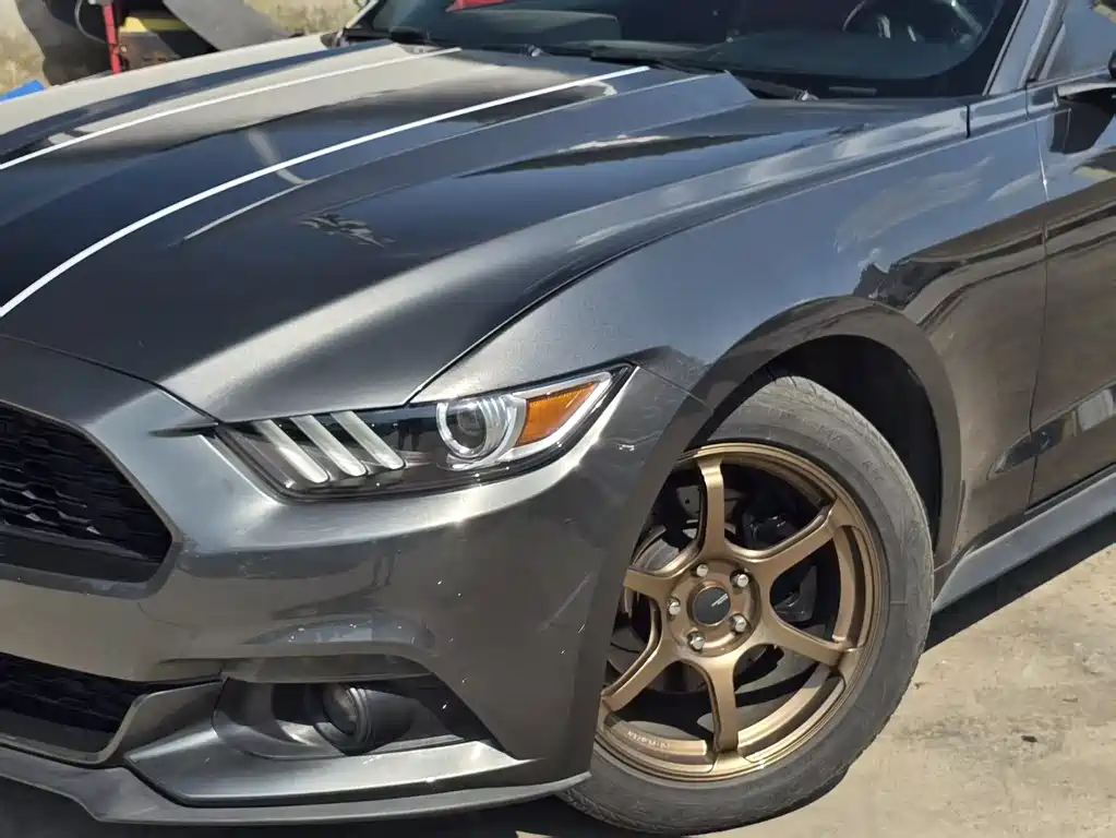 Ford Mustang 2016 — фото 11