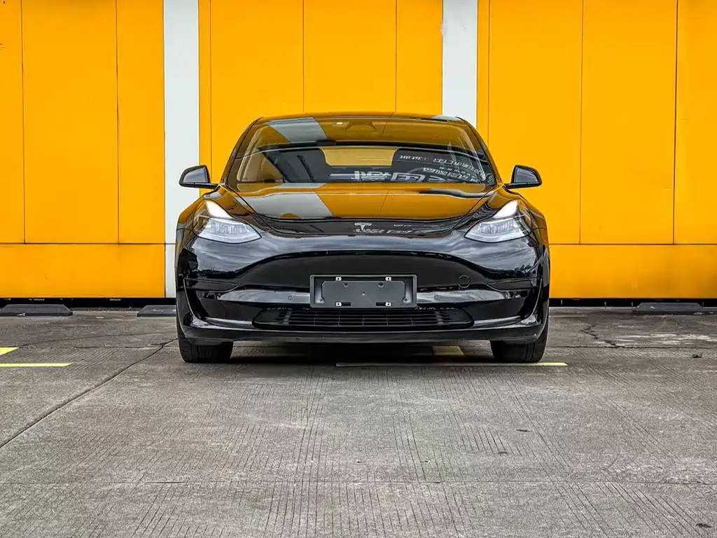 Tesla Model 3 2021 — фото 2