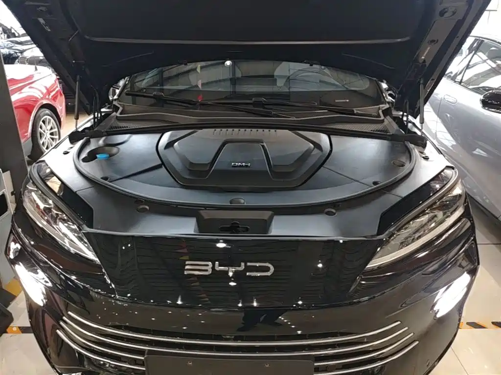 BYD PLUS New Energy 2024 — фото 20