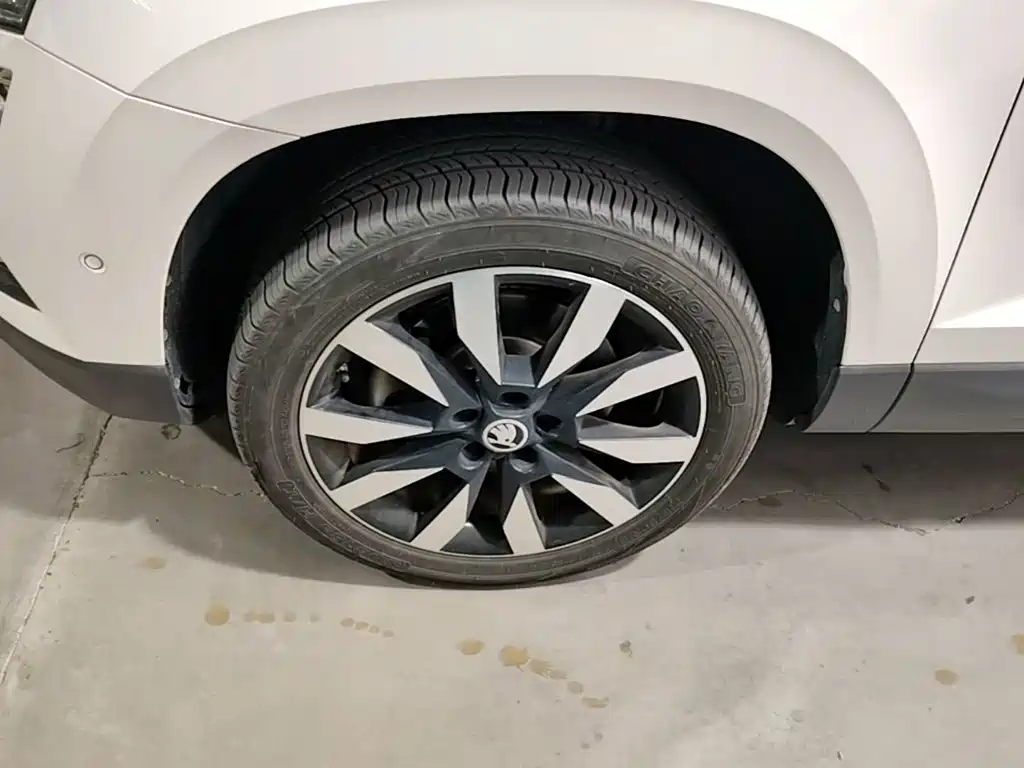 Skoda Karoq 2019 — фото 23