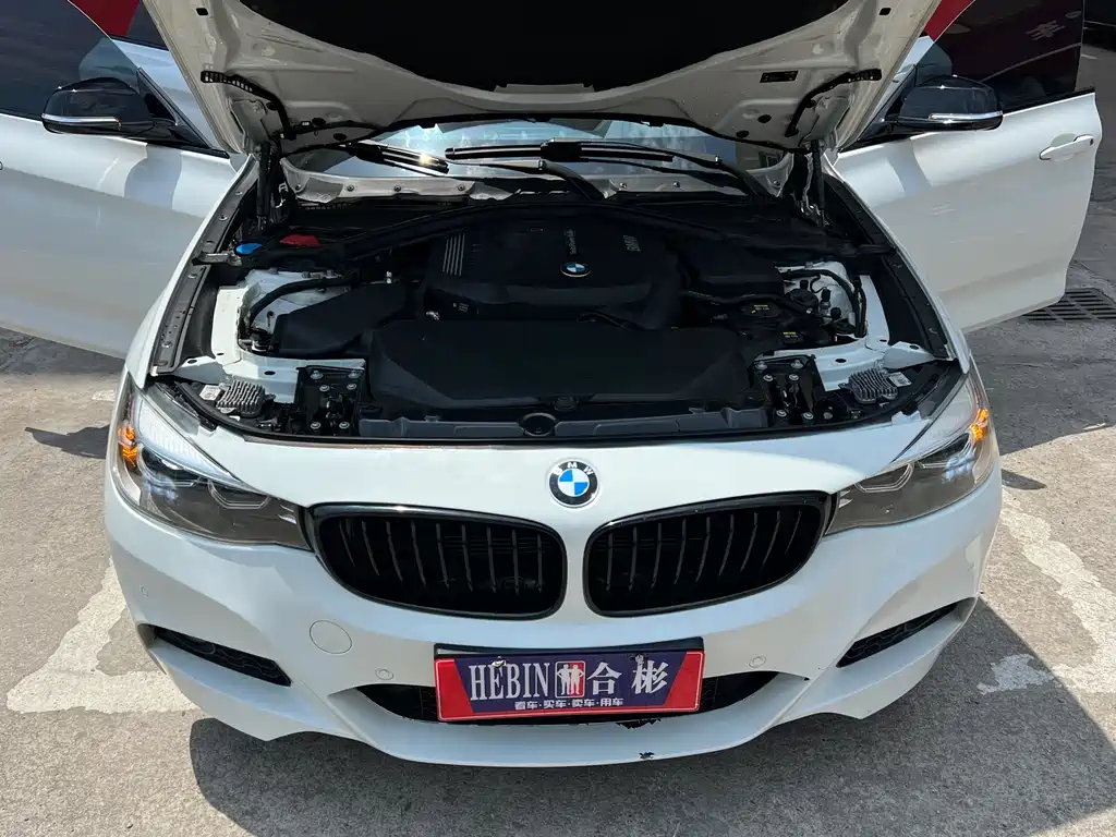 BMW 3 Series GT 2019 — фото 12