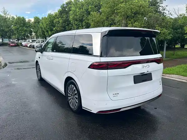BYD Summer 2025